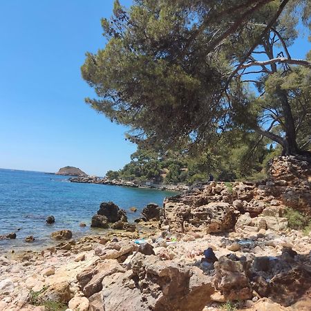 Charmant Studio 2A4 Pers Avec Jardin Et Place De Parking Situe A 5 Min A Pied De La Mer Bandol Eksteriør bilde