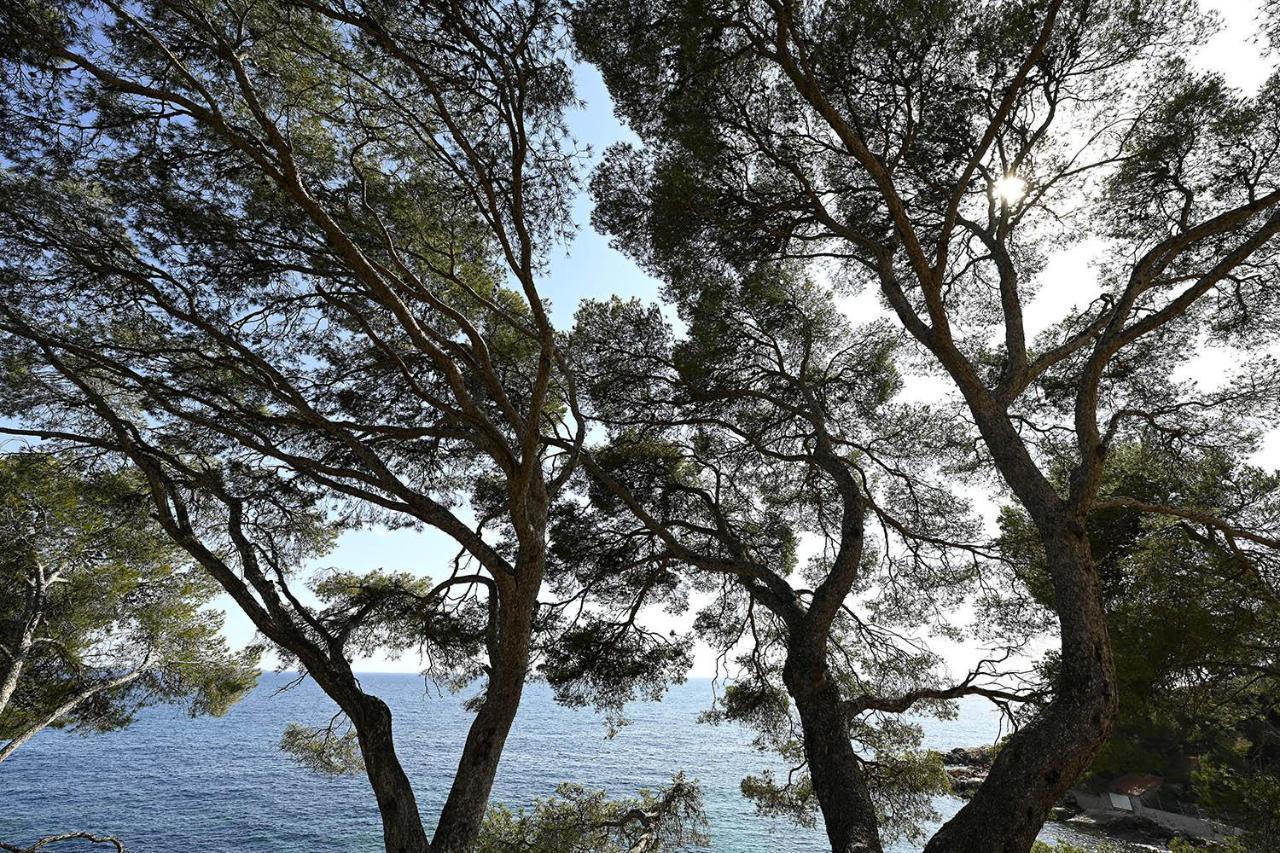 Charmant Studio 2A4 Pers Avec Jardin Et Place De Parking Situe A 5 Min A Pied De La Mer Bandol Eksteriør bilde
