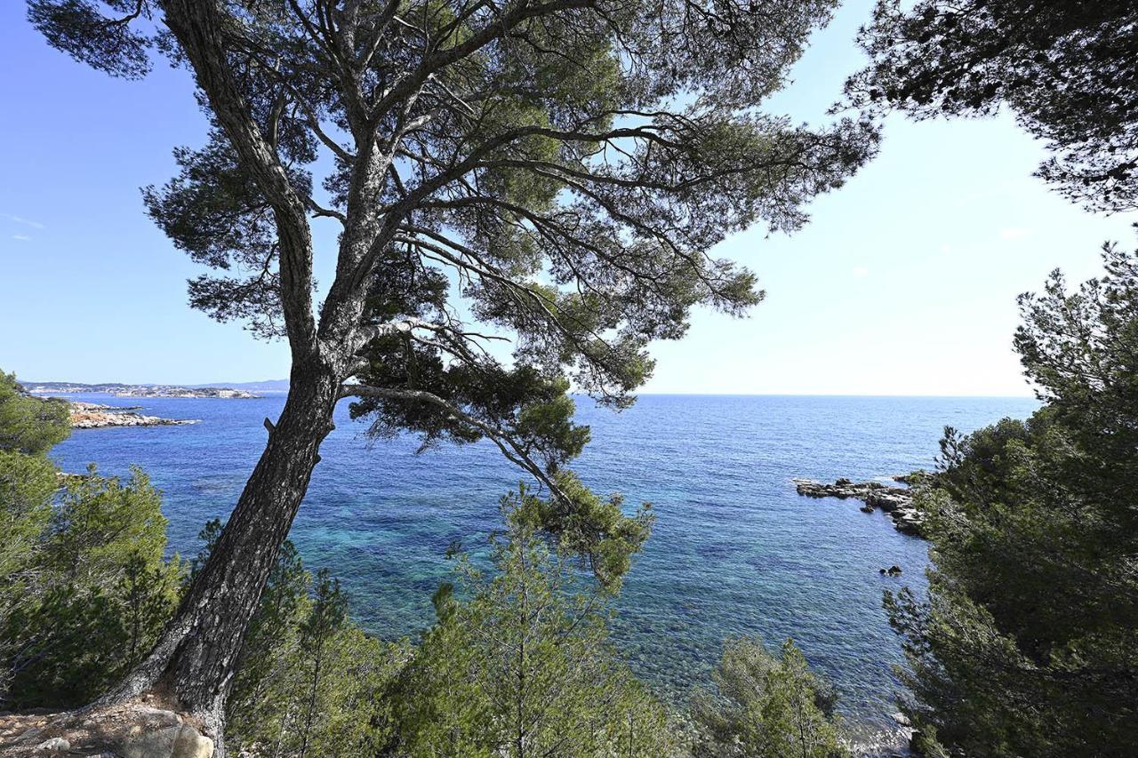 Charmant Studio 2A4 Pers Avec Jardin Et Place De Parking Situe A 5 Min A Pied De La Mer Bandol Eksteriør bilde