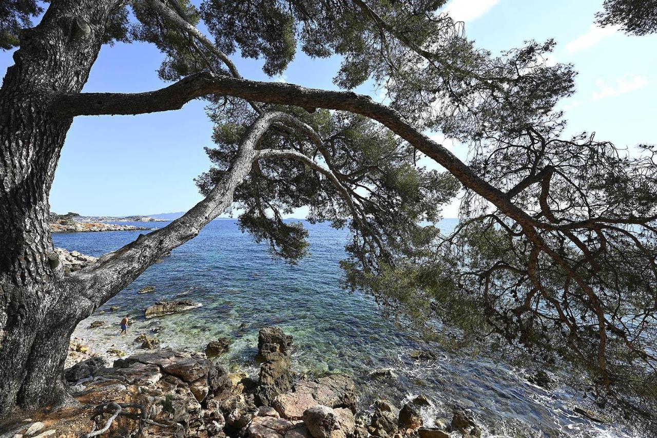 Charmant Studio 2A4 Pers Avec Jardin Et Place De Parking Situe A 5 Min A Pied De La Mer Bandol Eksteriør bilde