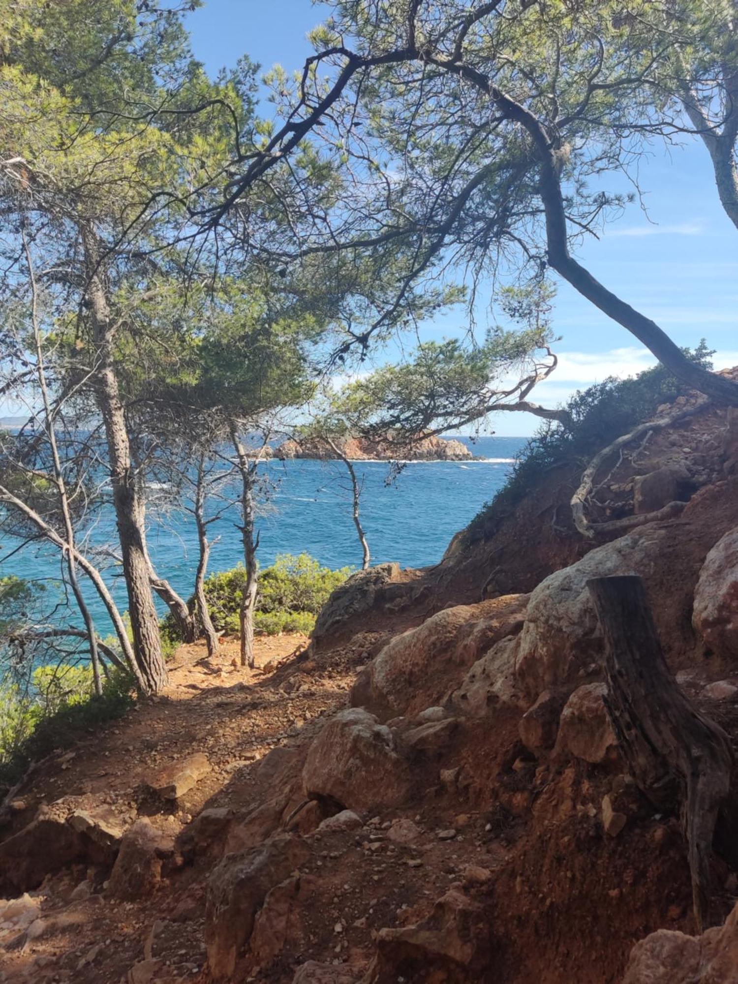 Charmant Studio 2A4 Pers Avec Jardin Et Place De Parking Situe A 5 Min A Pied De La Mer Bandol Eksteriør bilde